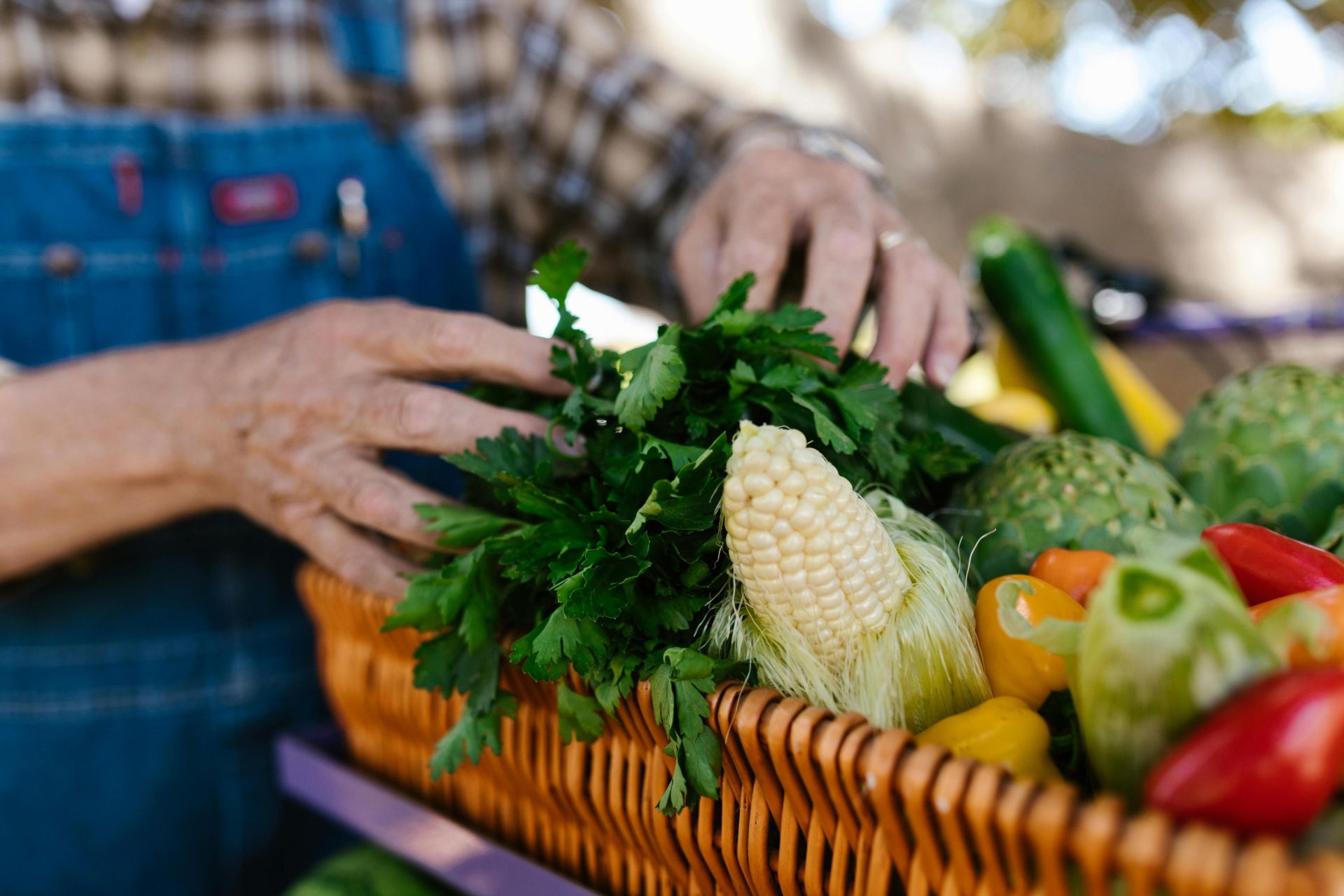 Close-up of hands arranging vibrant fresh vegetables in a basket outdoors.